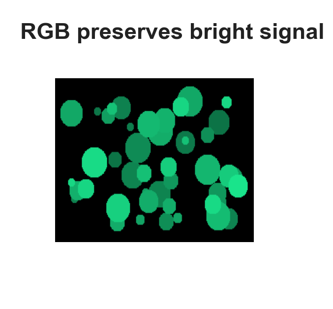 RGB 色彩空间下颜色更明亮的显微图