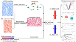 Identifying phenotype-associated subpopulations through LP_SGL