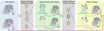 Quality-Preserving Imperceptible Adversarial Attack on Skeleton-based Human Action Recognition